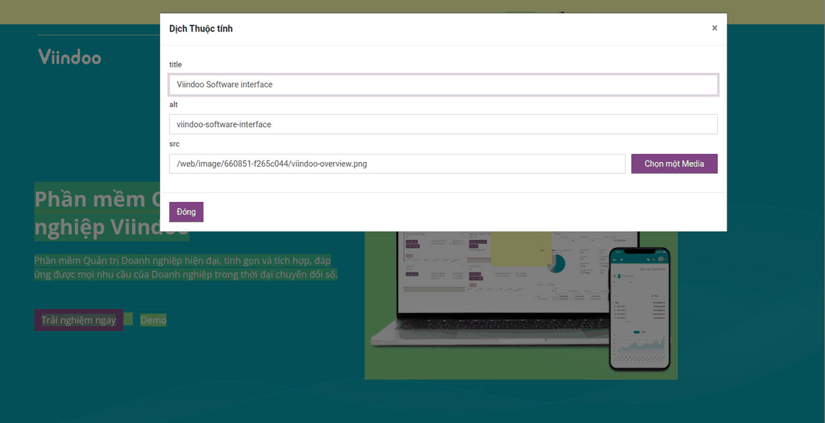 Dịch Hình Ảnh, Video và Liên kết Cho Website