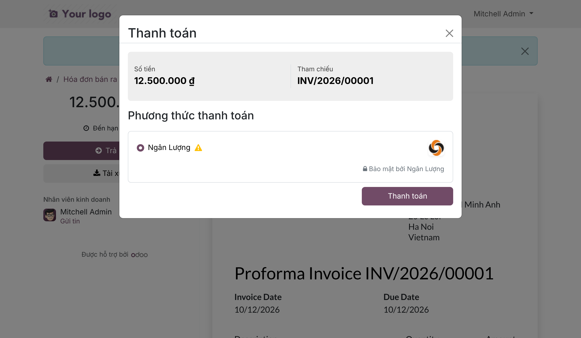 Thanh toán trực tuyến Ngân Lượng