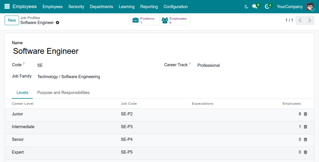 Job profile with its levels and job codes