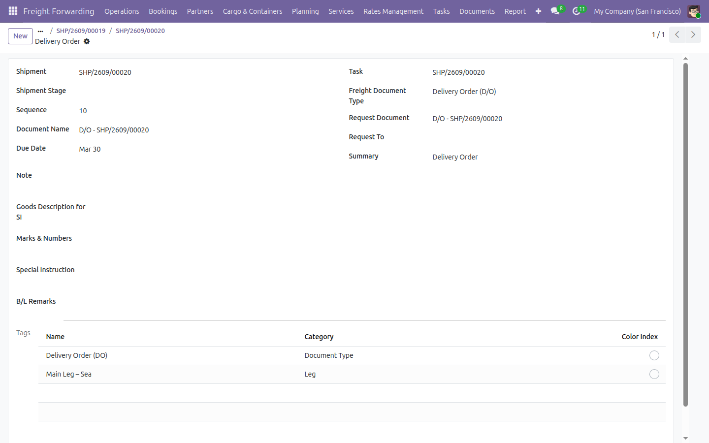 The newly created Delivery Order record, showing its Freight Document Type and its two automatically applied tags.