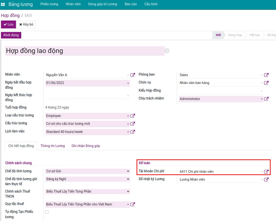 Thiết lập quy tắc kế toán trên hợp đồng lao động