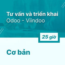 Odoo - Viindoo Consultancy &amp; Implementation Service - Hour Package